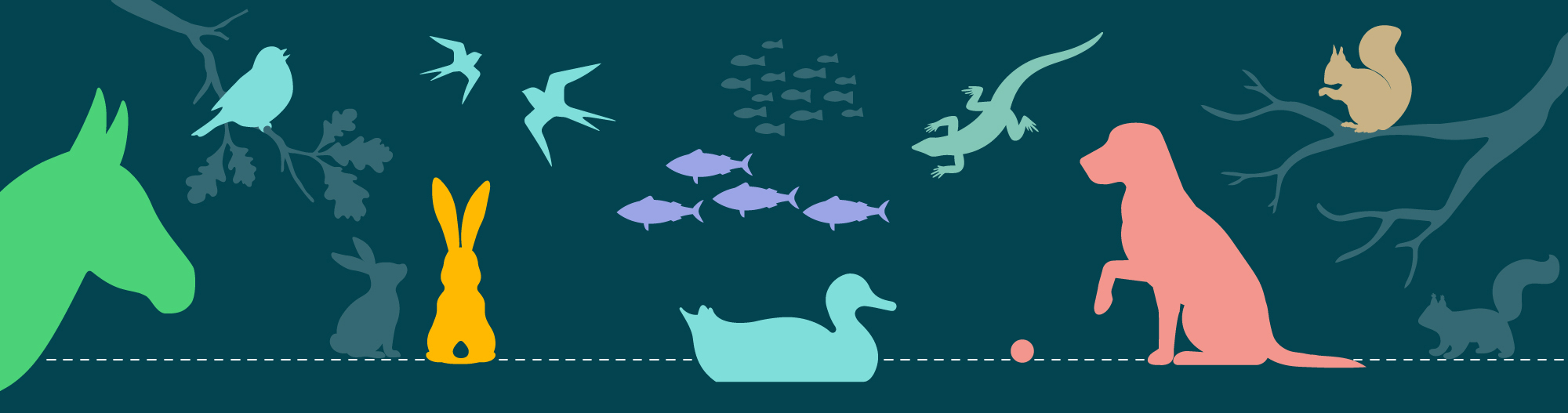 Animals and Wildlife banner